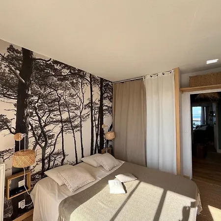 - T3 Avec Terrasse, Vue Et Parking - Fr-1-319-593 Apartment Arcachon